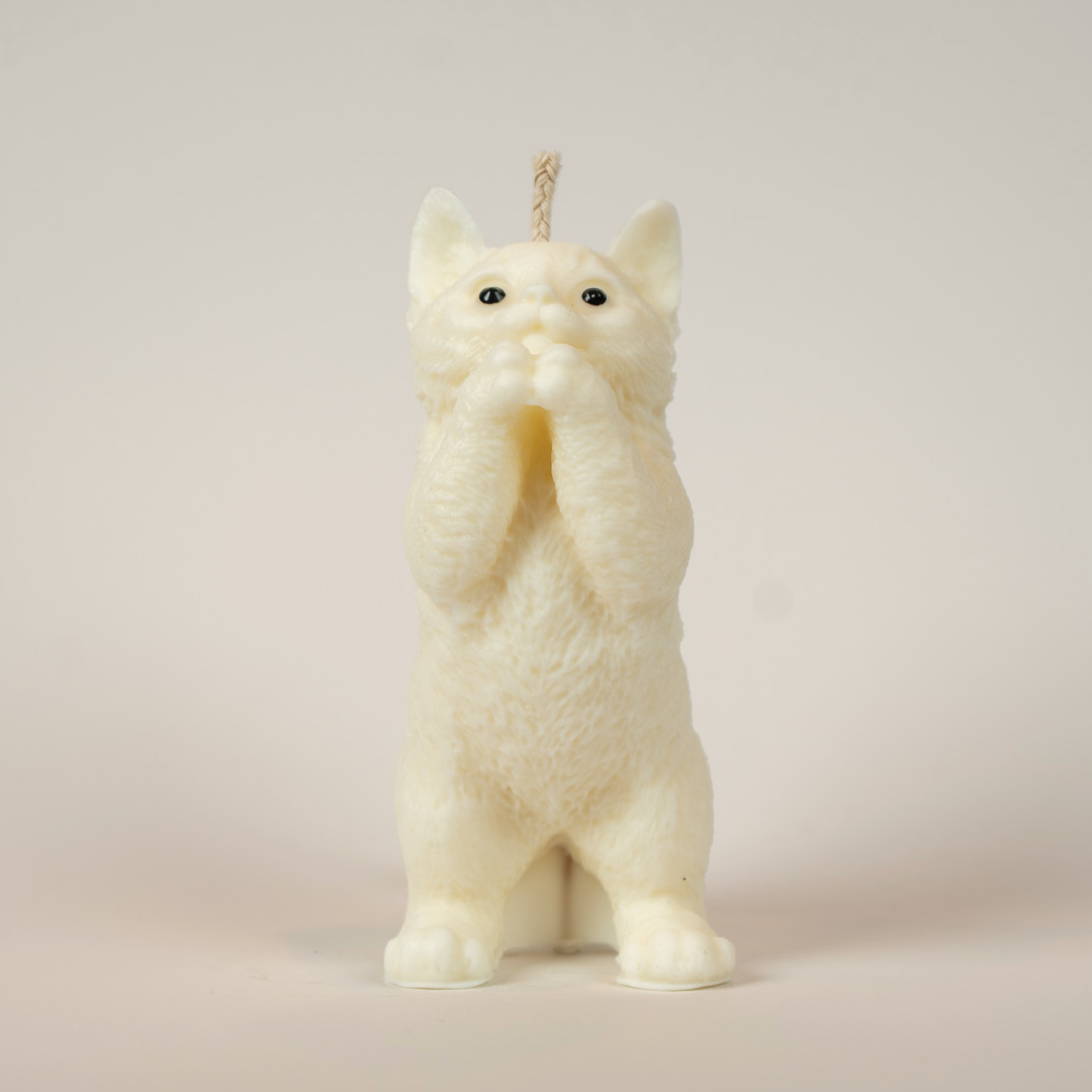 Katzenkerze
