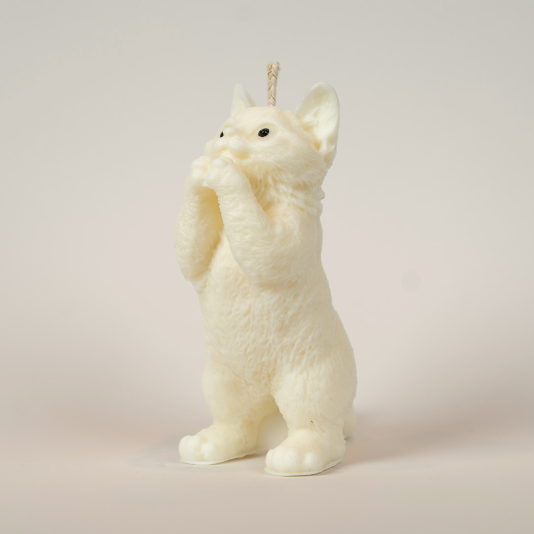 Katzenkerze