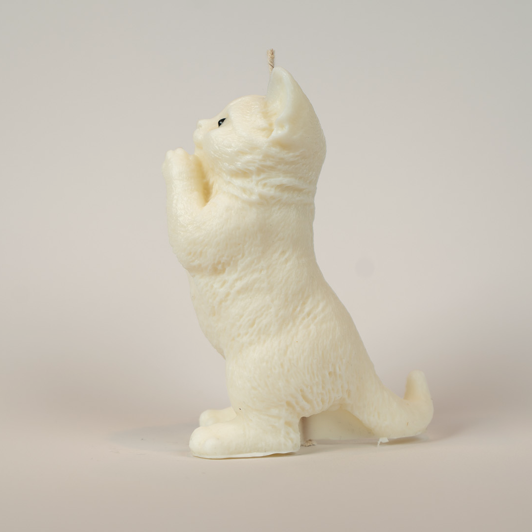 Katzenkerze
