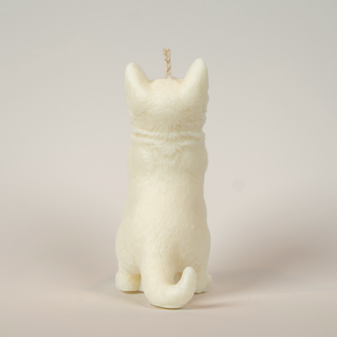 Katzenkerze