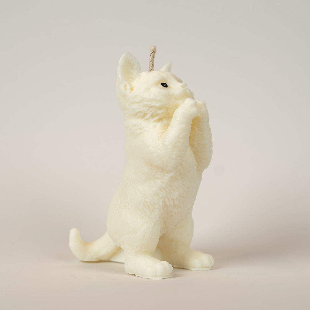 Katzenkerze